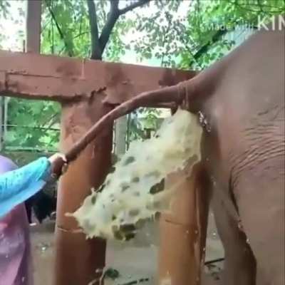 Straight into the mouth