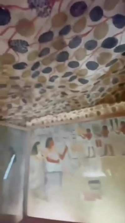 A glimpse into the impressive depths of Sennefer's tomb! It is one of the most preserved and beautifully decorated tombs ever found in Egypt. Known as the Tomb of the Vineyards, it's covered in colors and stories, and is buried deep in the mountain below