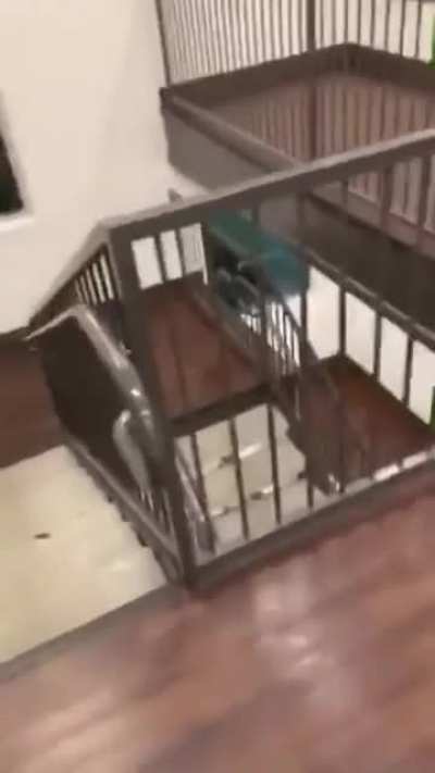 To go downstairs.
