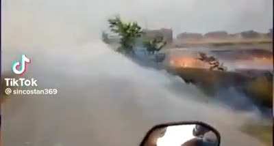 smoke