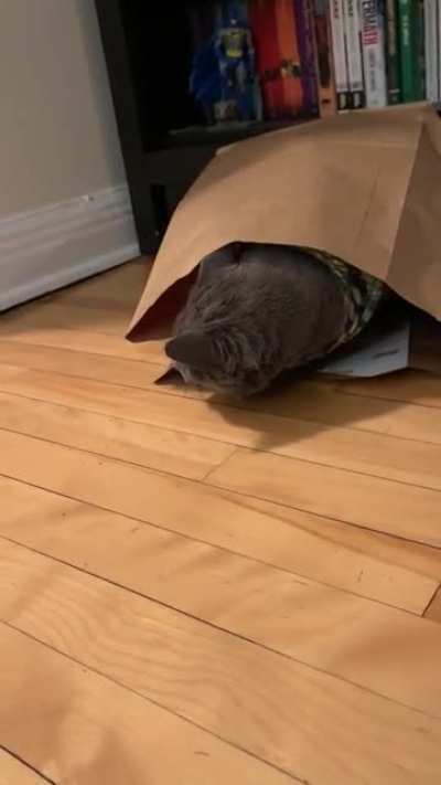 One video, three derps
