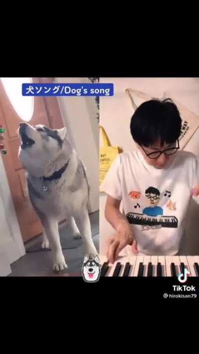 Dog music