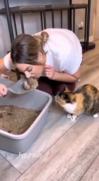 Wtf