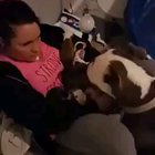 The Ultimate Trust