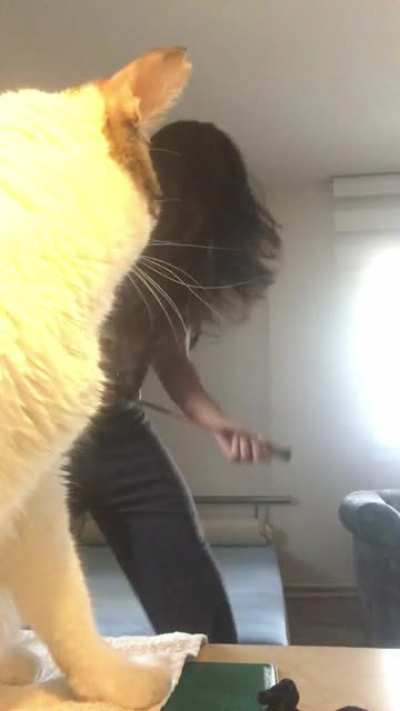 I am having a breakdown with my cat ?