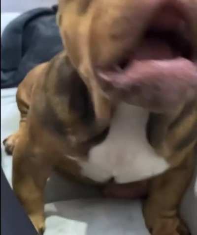 Cutest angry resting face