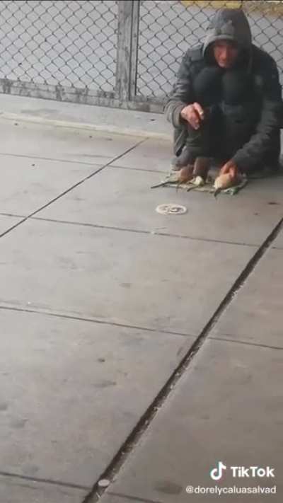 Homeless man teaches different rats multiple tricks.
