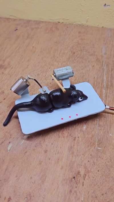 This mouse trap