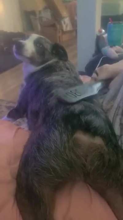 He likes spankings alittle too much ?