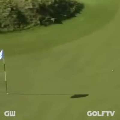 The longest televised golf putt was 160 feet (48.8 metres) by Michael Phelps. (Yes "that" Michael Phelps)