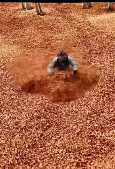 Bicycle through leaf flood