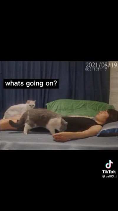 Let Sleeping Humans Lay!