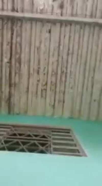 the scream at the end ??