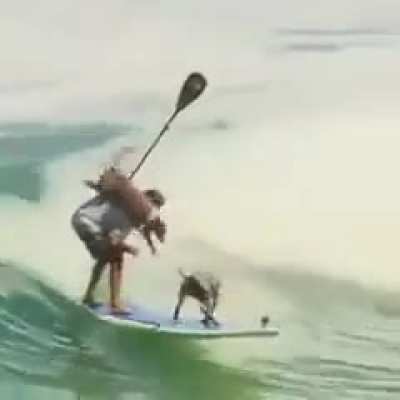 The way he managed his dog while surfing is incredible.