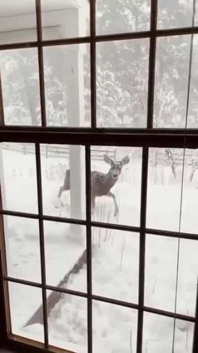 Maybe Maybe Maybe
