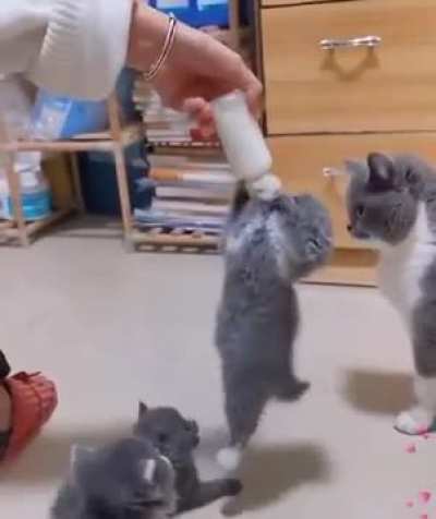 dis mine