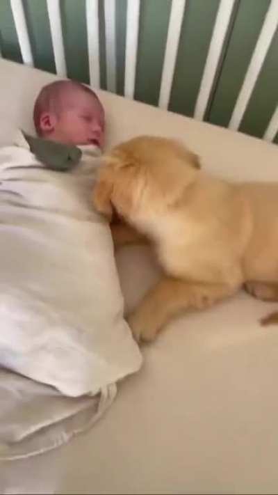A new friendship ?❤️