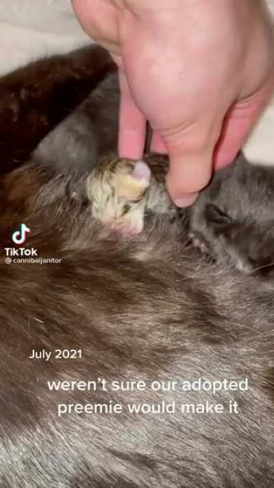 They grow up so fast ?