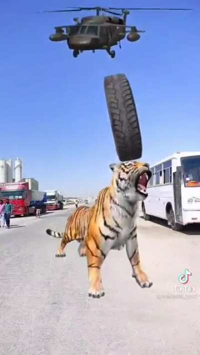 To make a good cgi