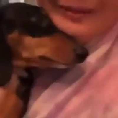 I wish I had a dog ??