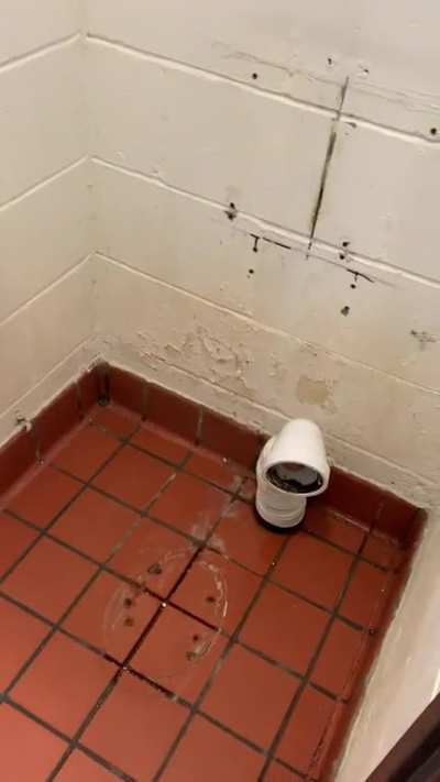 Absolute respect for the mad lad that did this at school