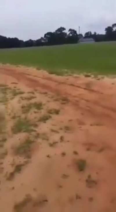 Miscalculated