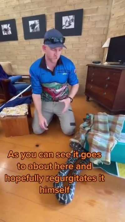Just Australia.