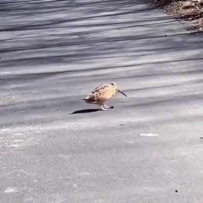 How I Cross The Street