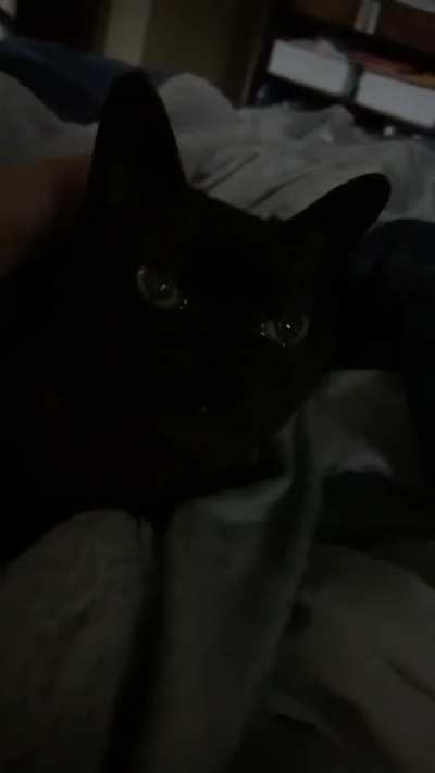 Old girl yelling in the middle of the night