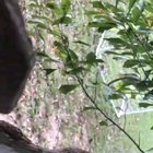 If you think that you have problems... Remember this squirrel...