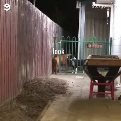 Helping a friend