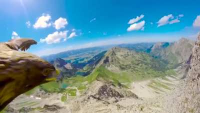? follow this eagle along its journey trough the mountains