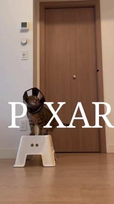 The “I” in PIXAR