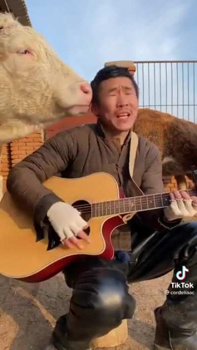 Cowlicks ￼