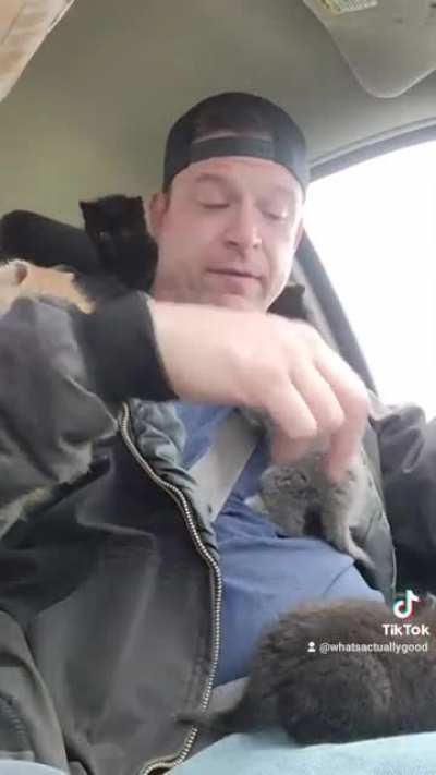 These barn kittens lost their mother. I wish I had the ability to care for them. I had no where for them to go so I took them to the animal shelter. They will be spade and neutered and up for adoption shortly. They are so dang kitteny!