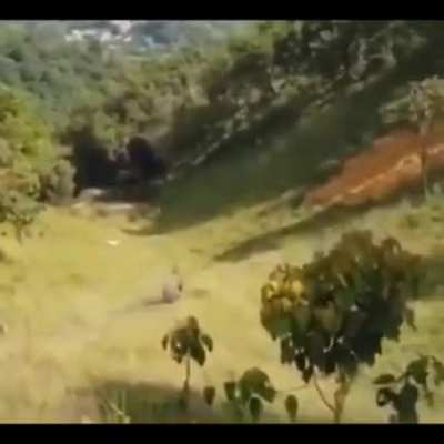 Maybe maybe maybe