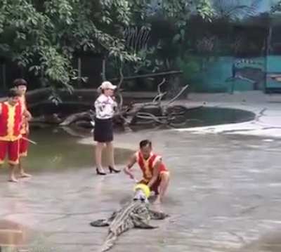 funny chaos...