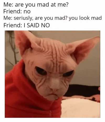 Yeah, totaly not mad