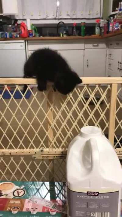 Prison break!