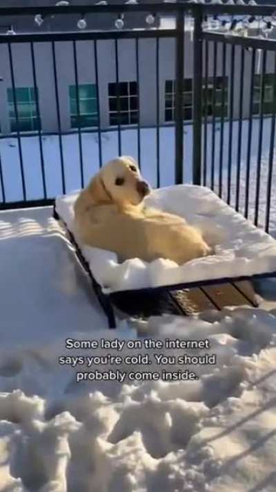 don't tell me what to do ?