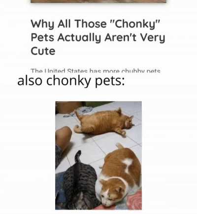 absolute UNITS