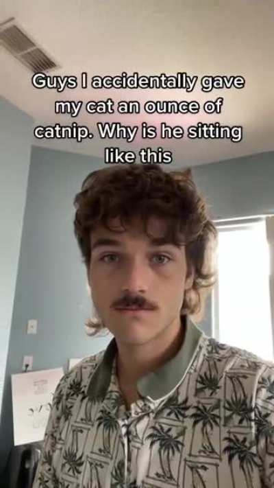 Catnip