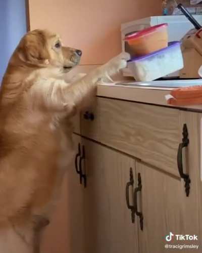 to steal food
