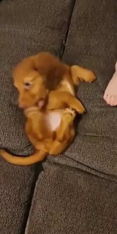 To get up