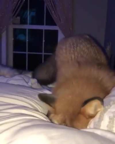 to jump into the "snow"