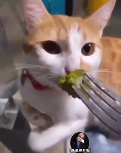 Eat your greens ?