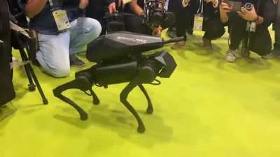 Aand Turkey produced the first killer robot doggo