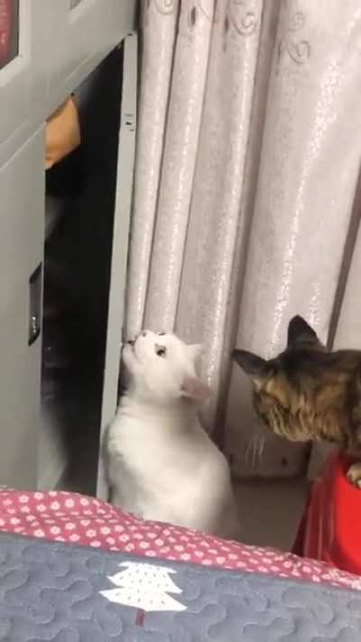 "...And this is where she keeps the treats!"