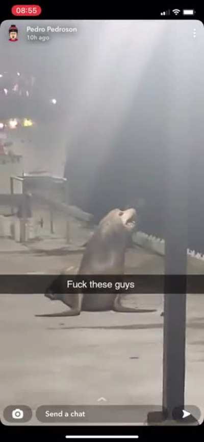 You shall not pass!