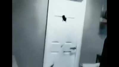 You can break my door not my confidence
